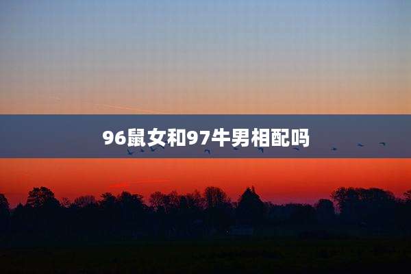 96鼠女和97牛男相配吗