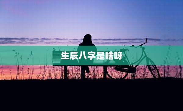 生辰八字是啥呀