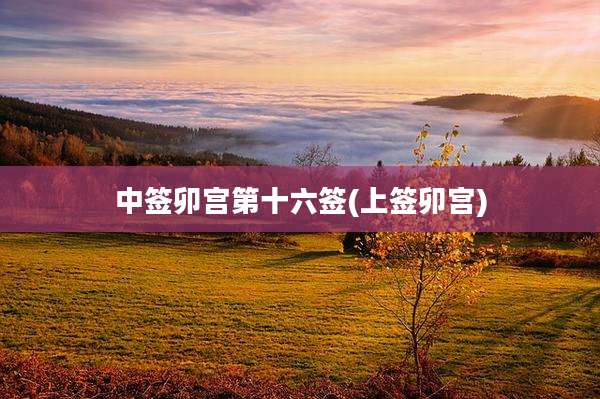 中签卯宫第十六签(上签卯宫)