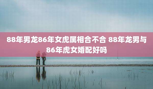 88年男龙86年女虎属相合不合 88年龙男与86年虎女婚配好吗