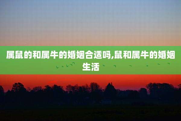 属鼠的和属牛的婚姻合适吗,鼠和属牛的婚姻生活