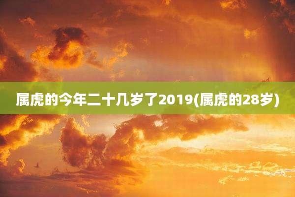 属虎的今年二十几岁了2019(属虎的28岁)