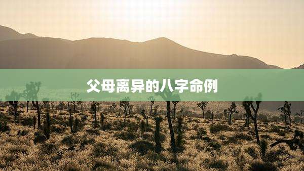 父母离异的八字命例