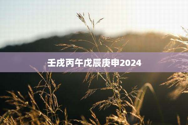 壬戌丙午戊辰庚申2024