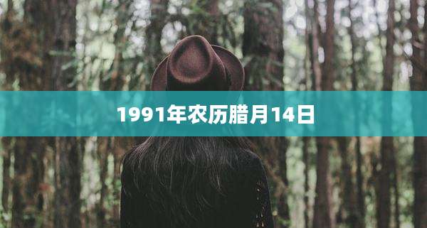 1991年农历腊月14日