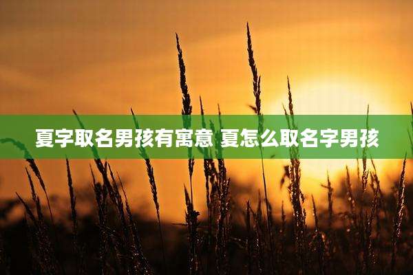 夏字取名男孩有寓意 夏怎么取名字男孩