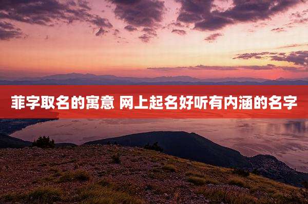 菲字取名的寓意 网上起名好听有内涵的名字