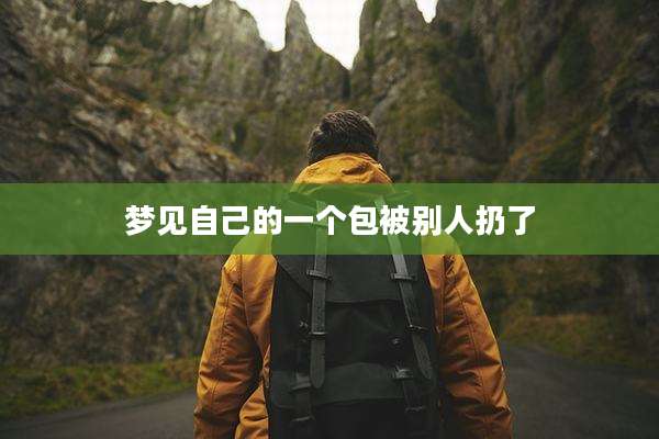 梦见自己的一个包被别人扔了