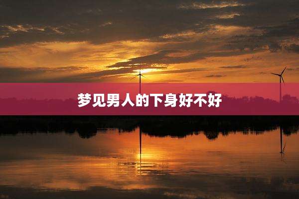 梦见男人的下身好不好