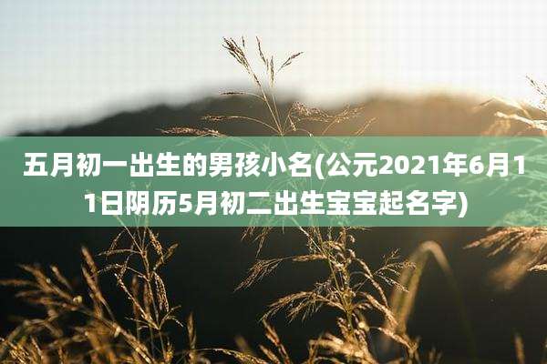 五月初一出生的男孩小名(公元2021年6月11日阴历5月初二出生宝宝起名字)