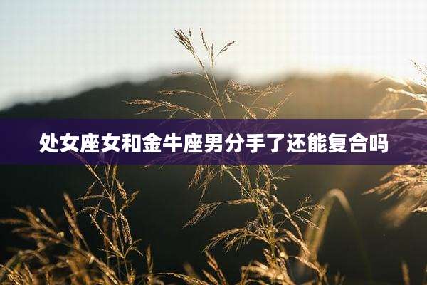 处女座女和金牛座男分手了还能复合吗