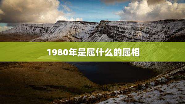 1980年是属什么的属相