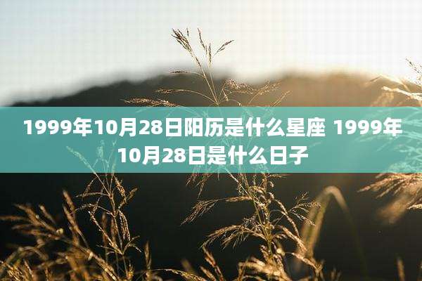 1999年10月28日阳历是什么星座 1999年10月28日是什么日子