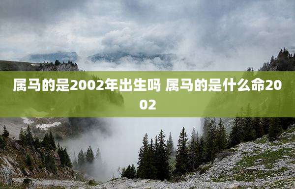 属马的是2002年出生吗 属马的是什么命2002