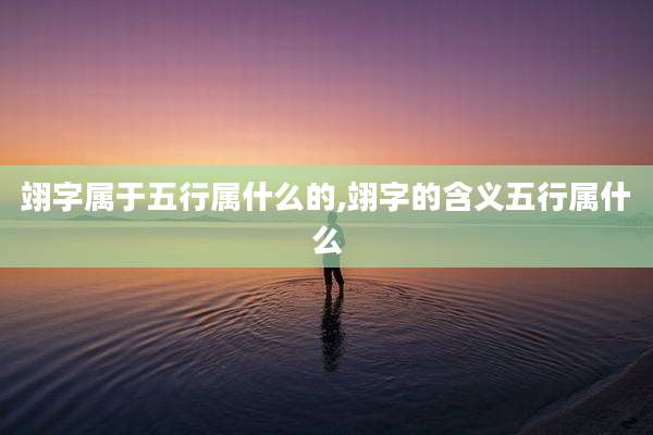 翊字属于五行属什么的,翊字的含义五行属什么