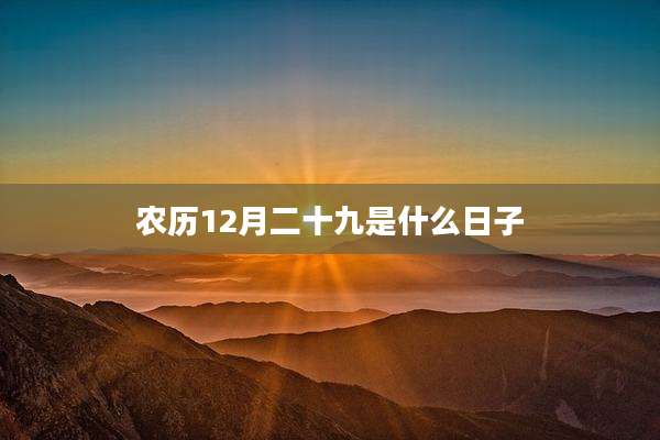 农历12月二十九是什么日子