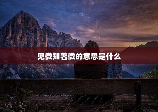 见微知著微的意思是什么