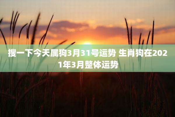 搜一下今天属狗3月31号运势 生肖狗在2021年3月整体运势