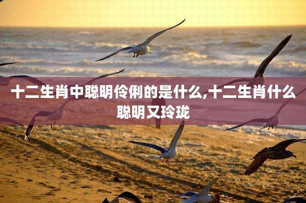 十二生肖中聪明伶俐的是什么,十二生肖什么聪明又玲珑