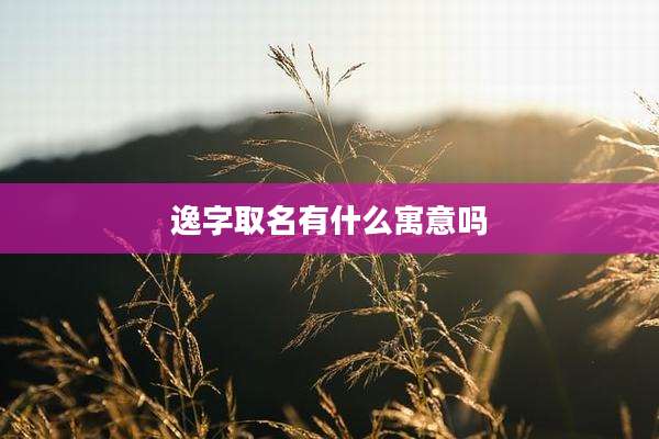逸字取名有什么寓意吗