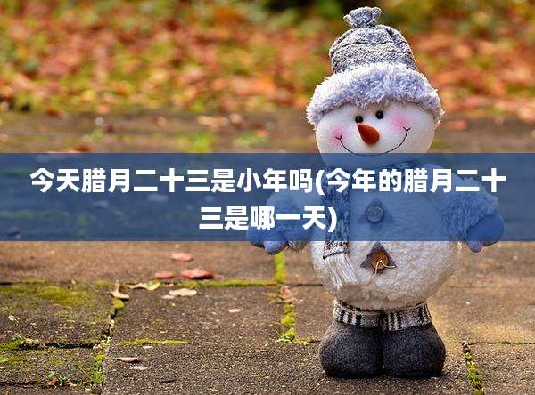 今天腊月二十三是小年吗(今年的腊月二十三是哪一天)