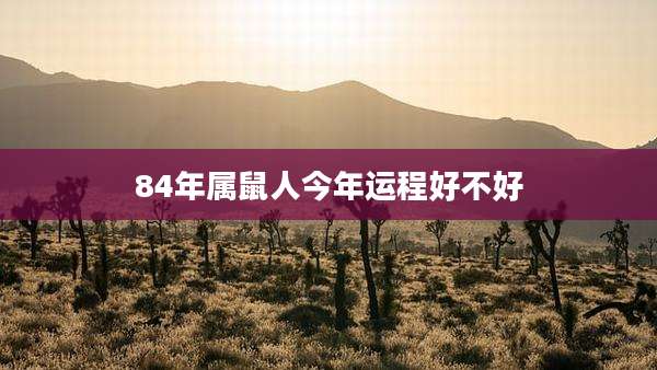 84年属鼠人今年运程好不好