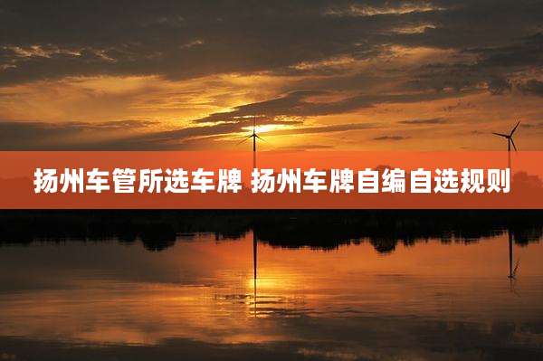 扬州车管所选车牌 扬州车牌自编自选规则
