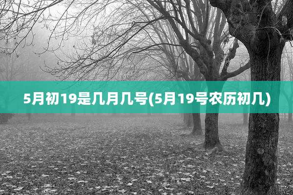 5月初19是几月几号(5月19号农历初几)