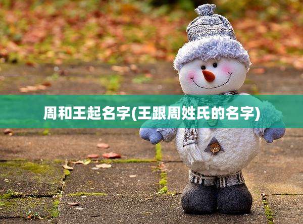 周和王起名字(王跟周姓氏的名字)