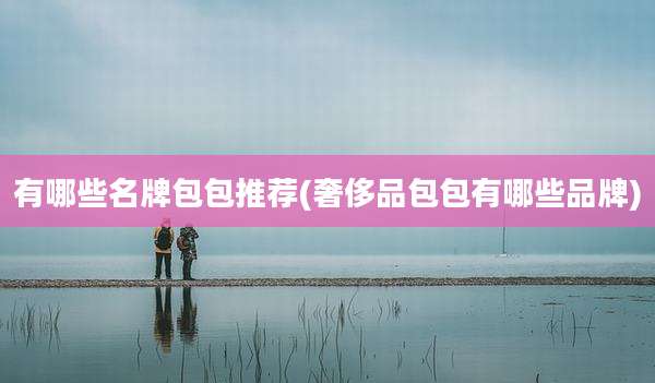 有哪些名牌包包推荐(奢侈品包包有哪些品牌)