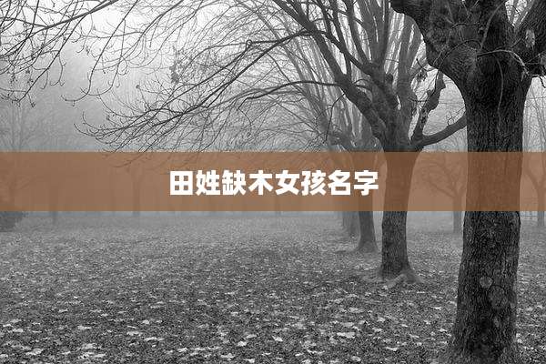 田姓缺木女孩名字