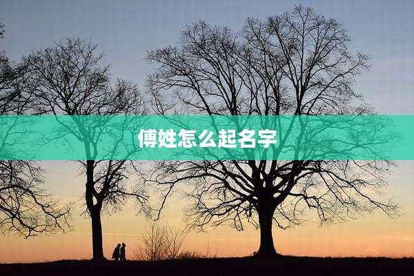 傅姓怎么起名字