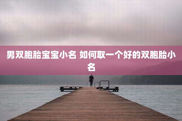 男双胞胎宝宝小名 如何取一个好的双胞胎小名