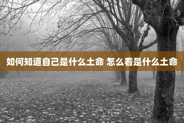 如何知道自己是什么土命 怎么看是什么土命