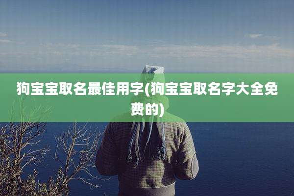 狗宝宝取名最佳用字(狗宝宝取名字大全免费的)