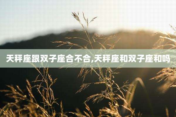 天秤座跟双子座合不合,天秤座和双子座和吗