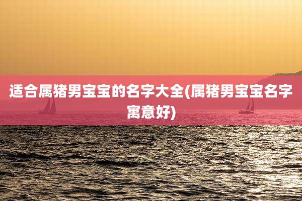 适合属猪男宝宝的名字大全(属猪男宝宝名字寓意好)