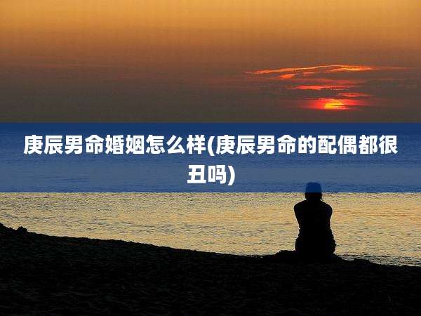 庚辰男命婚姻怎么样(庚辰男命的配偶都很丑吗)
