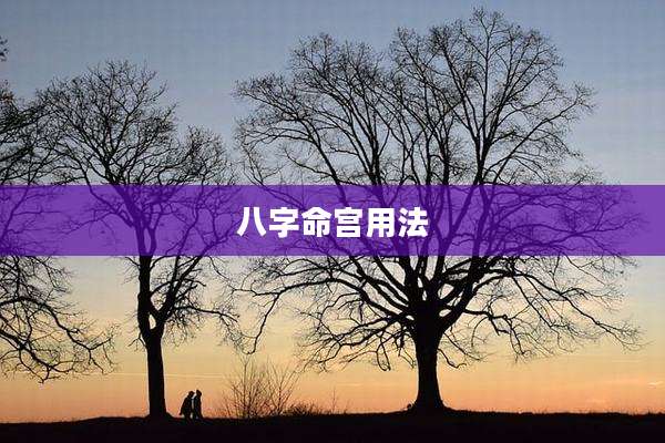 八字命宫用法