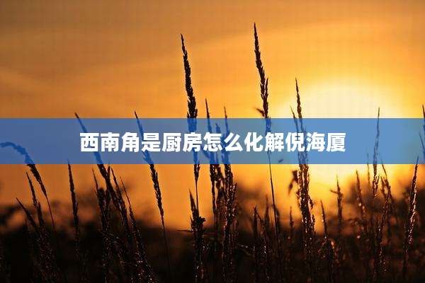 西南角是厨房怎么化解倪海厦