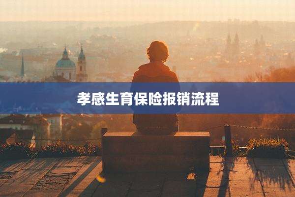 孝感生育保险报销流程
