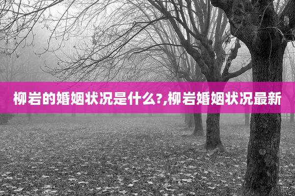 柳岩的婚姻状况是什么?,柳岩婚姻状况最新