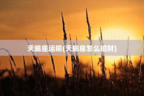 天蝎座运输(天蝎座怎么招财)