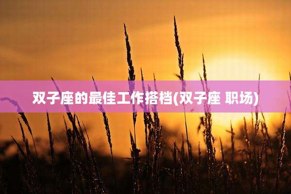 双子座的最佳工作搭档(双子座 职场)