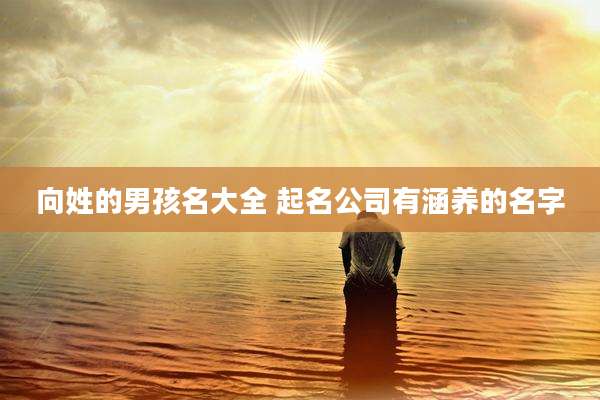 向姓的男孩名大全 起名公司有涵养的名字