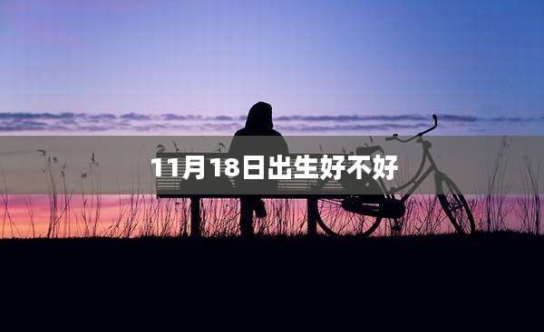 11月18日出生好不好