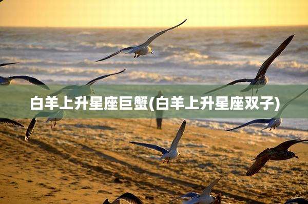 白羊上升星座巨蟹(白羊上升星座双子)