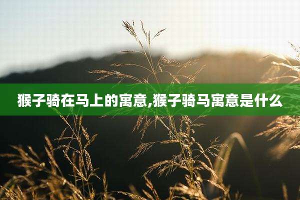 猴子骑在马上的寓意,猴子骑马寓意是什么
