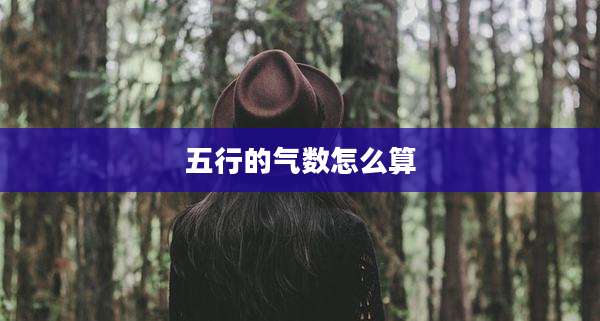 五行的气数怎么算