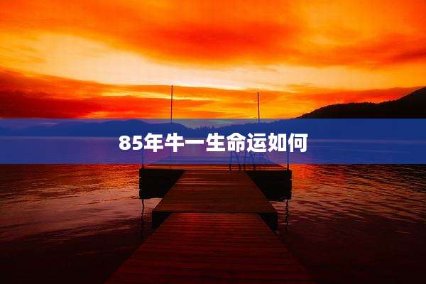 85年牛一生命运如何